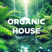 DFM Organic House логотип