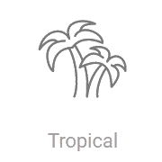 Радио Record Tropical логотип